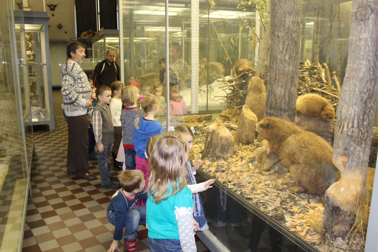 музей с животными